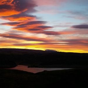 Meet your Posher, Janine